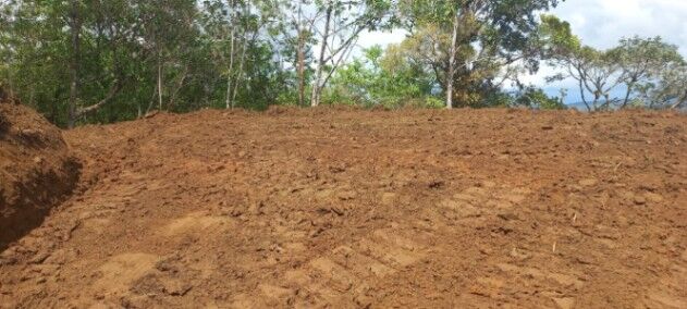 SE VENDE BELLA Y ÚTIL FINCA EN CINCHONA, ALAJUELA.  en Alajuela — ₡ 20 000 000