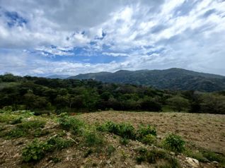 EN VENTA Finca de 8.3 Ha de uso mixto con vista al Tárcoles in Hacienda Vieja, Orotina, Alajuela — $995,000 - Photo 3 of 18