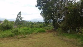 VENTA DE FINCA, HEREDIA, SAN ISIDRO in San Isidro, Heredia — $767,000 - Photo 5 of 8