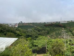 Encantador apartamento en El Carmen de Guadalupe en Sabanilla, Montes De Oca, San José — 68 580 000 ₡ - Foto 4 de 18