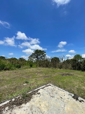 VENTA DE FINCA PARA DESARROLLO RESIDENCIAL, ALAJUELA, CANOAS en Alajuela — $1,197,850 - Foto 2 de 17