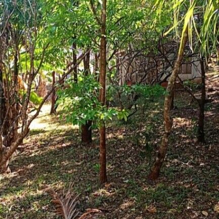 Venta de Lote + Cabaña en Santa Cruz de Guanacaste. RAH 26-1226 in Veintisiete De Abril, Santa Cruz, Guanacaste — ₡ 38 000 000