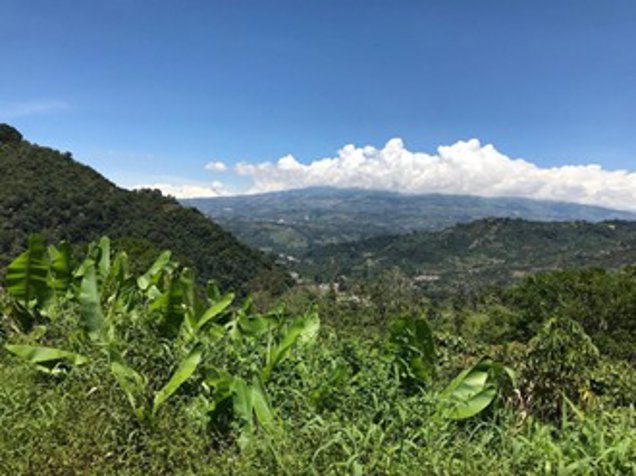 Se venden Terrenos en el Valle de Orosi, para quintas en Orosi, Paraíso, Cartago — $120,000 - Foto 2 de 16