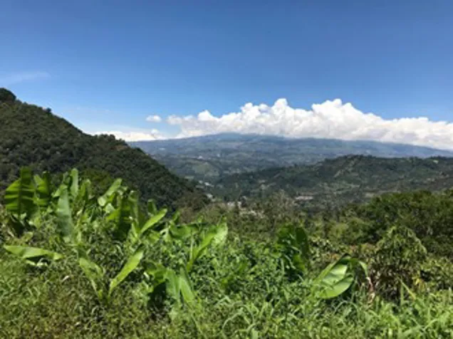 Se venden Terrenos en el Valle de Orosi, para quintas en Orosi, Paraíso, Cartago — $120,000 - Foto 2 de 16