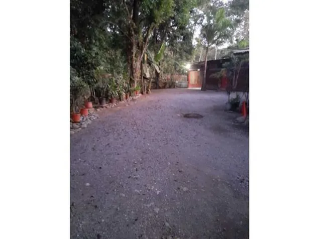 ALQUILER DE CABINAS, LIMÓN, SOBRE RUTA 32 en Limón — ₡ 800 000 - Foto 3 de 8