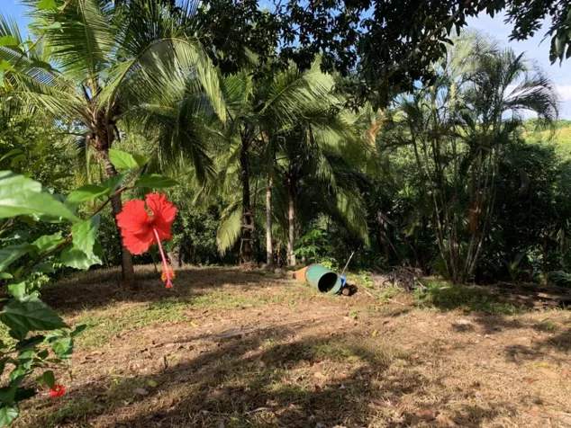 Terreno en Orotina  carrtera a Jaco precio de oportunidad en Jacó, Garabito, Puntarenas — $105,000 - Foto 3 de 5
