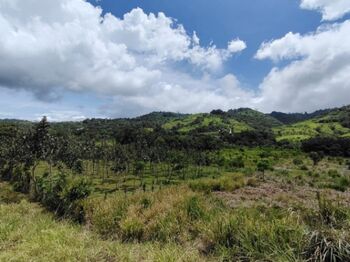 SE VENDE FINCA CERCA DEL RÍO CON POTENCIAL DE DESARROLLO in San Isidro De El General, Pérez Zeledón, San José — $113,000 - Photo 5 of 19
