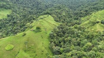 Finca en Venta Barú, Pérez Zeledón, San José