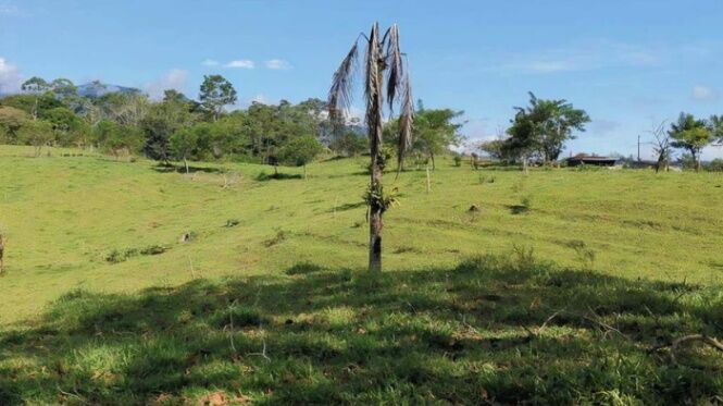 Venta de Lote en Turrialba, Cartago. RAH 26-1043 in Santa Teresita, Turrialba, Cartago — ₡ 232 430 000