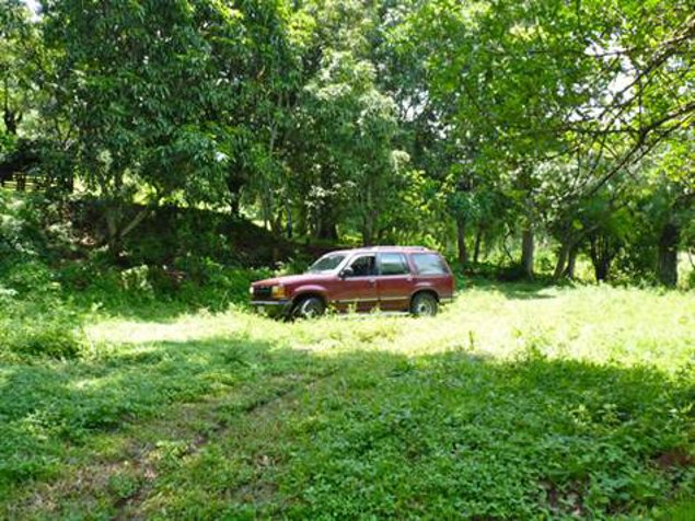 Finca de 6.3 Hec. 20 min. de aeropuerto en Atenas, Alajuela — $479,000 - Foto 2 de 5