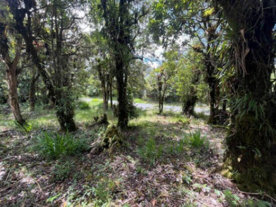 Se vende amplio lote de 1,289m2 en Cañón de el Guarco 25-1965 in Jardín, Dota, San José — ₡ 16 500 000