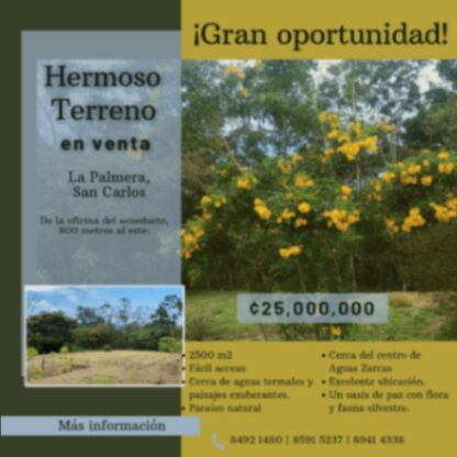 En VENTA: Hermoso terreno en La Palmera de Ciudad Quesada. en Quesada, San Carlos, Alajuela — ₡ 25 000 000
