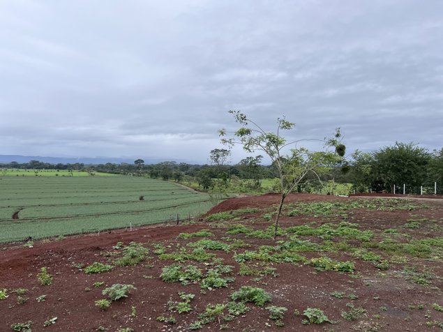 VENTA TERRENO DE DESARROLLO, ALAJUELA, SAN CARLOS, SAN JOSECITO en La Fortuna, San Carlos, Alajuela — $170,000 - Foto 2 de 9