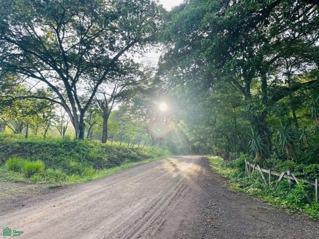 SE VENDE ECO LODGE CAÑAS CASTILLA EN FUNCIONAMIENTO en La Cruz, Guanacaste — $795,000 - Foto 2 de 32