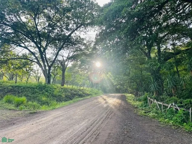 SE VENDE ECO LODGE CAÑAS CASTILLA EN FUNCIONAMIENTO en La Cruz, Guanacaste — $795,000 - Foto 2 de 32