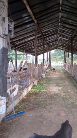 Finca de pastos ganadera / Escuchamos ofertas, precio NEGOCIABLE in Buenavista, Guatuso, Alajuela — ₡ 170 000 000