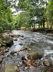 Vivir en Medio de la Naturaleza y a 20 mins de la Fortuna de San Carlos en Peñas Blancas, San Ramón, Alajuela — 16 200 000 ₡ - Foto 4 de 7