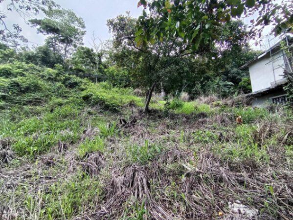 Se vende lote de más de 4600 m2 en Mora Colón 26-1801 in Colón, Mora, San José — ₡ 96 000 000