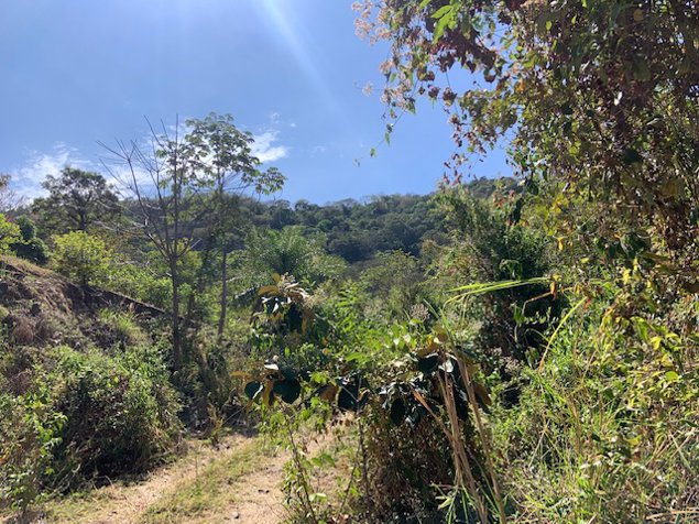 465,768m2 (116m2) con permisos para urbanizar en Atenas, Alajuela — $1,200,000