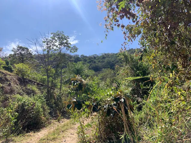 465,768m2 (116m2) with permits to subdivide in Atenas, Alajuela — $1,200,000