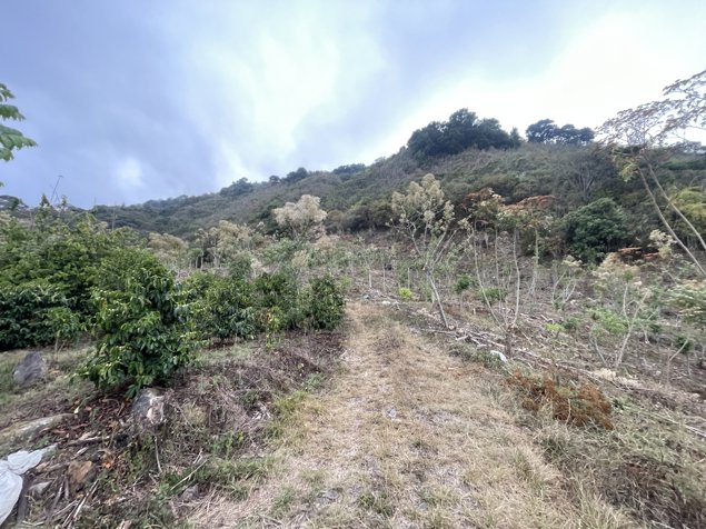 Finca en Venta en Copey de Dota 12.9 hectareas en Santa María, Dota, San José — $2,000,000 - Foto 3 de 11