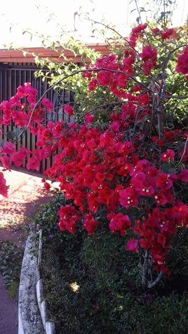 Preciosa quinta con vista al Poas in San Isidro, Alajuela — $350,000