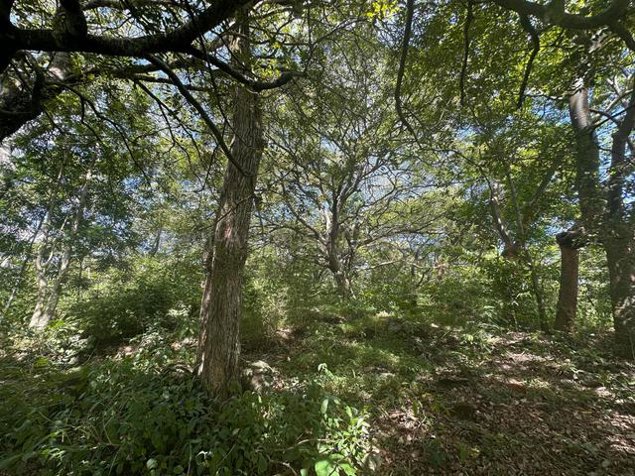 Venta de Lote en Turrúcares de Alajuela. RAH 27-529 USO DE SUELO AGRÍCOLA in Turrúcares, Alajuela — $179,000
