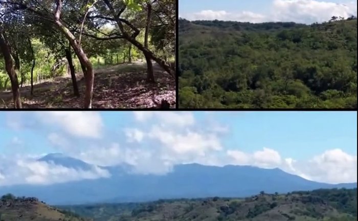 Finca agrícola 231 Ha potencial ecologico Bagaces en Bagaces, Guanacaste — $924,000
