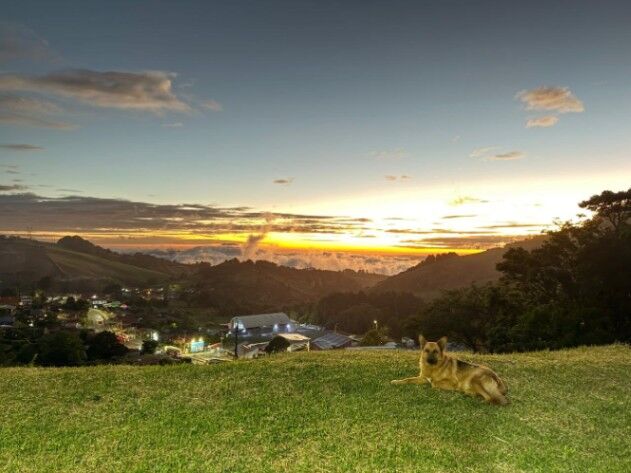 Finca en Venta en Zarcero Alajuela en Zarcero, Alajuela — ₡ 380 000 000