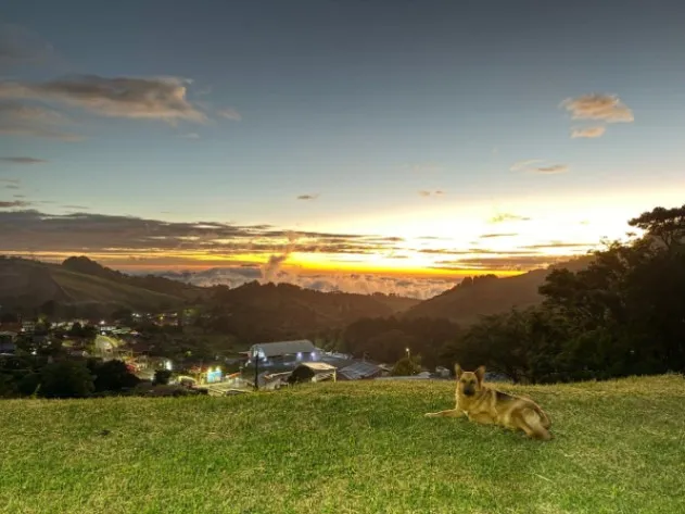 Finca en Venta en Zarcero Alajuela in Zarcero, Alajuela — ₡ 380 000 000
