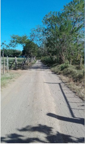 TERRENO 9 HA PARA USO MIXTO CAÑAS en Cañas, Guanacaste — $1,000,000 - Foto 3 de 3