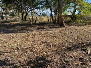 LOTE EN VENTA CAÑAS DULCES LIBERIA en Cañas Dulces, Liberia, Guanacaste — 23 800 000 ₡ - Foto 4 de 8