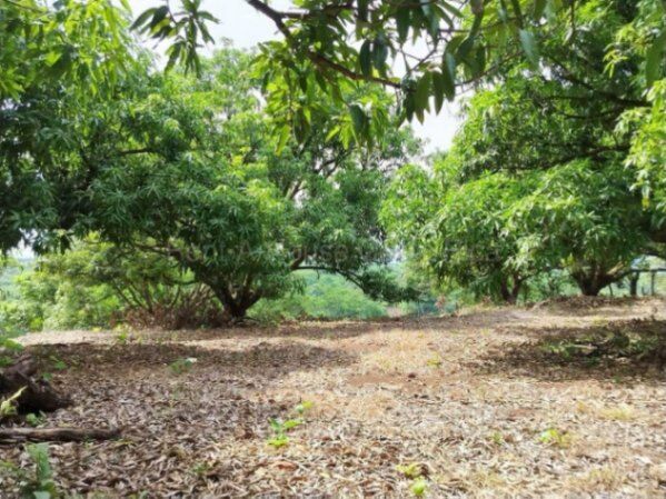 Venta de Lote en San Mateo-Labrador. RAH 26-2228 en Labrador, San Mateo, Alajuela — ₡ 123 180 000