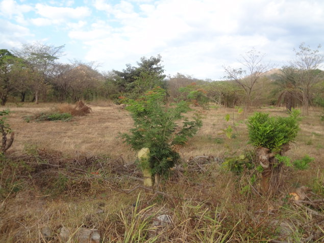Terreno 3 Ha en Sardinal hacia Playas del Coco en Sardinal, Carrillo, Guanacaste — $600,000 - Foto 2 de 2
