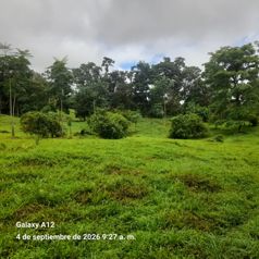 Finca para ganadería y agricultura. en Bijagua, Upala, Alajuela — 130 000 000 ₡ - Foto 5 de 13