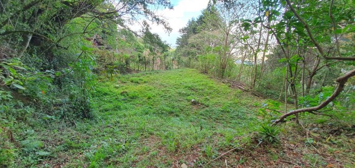 Un maravilloso terreno en la montaña in Tarbaca, Aserrí, San José — $147,000