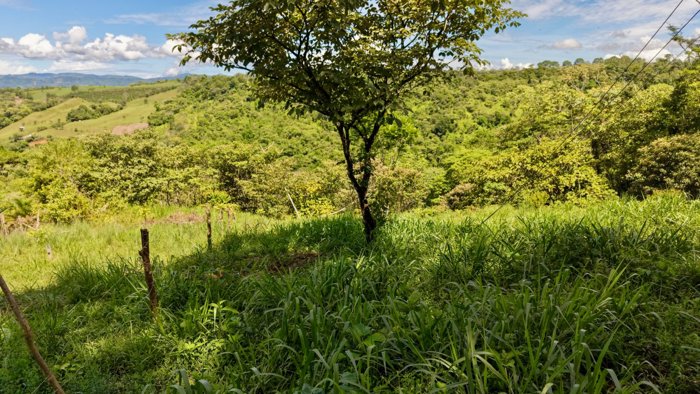 VENTA DE LOTE DE 272 M2 EN TRES RIOS, PEREZ ZELEDON: IDEAL PARA AIRBNB O CABAÑA en Buenos Aires, Puntarenas — $10,000