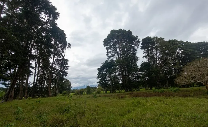 Beautiful farm in Los Angeles de San Rafael de Heredia 10.4 hectares in Concepción, San Rafael, Heredia — $2,600,000 - Photo 2 of 19