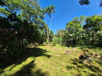 Finca hermosa con agua y plano en Quizarra, Perez Zeledon en Cajón, Pérez Zeledón, San José — $399,999 - Foto 4 de 27