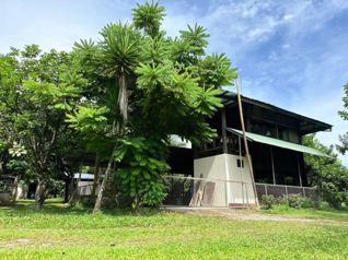 Venta hermosa Finca en Horquetas de Sarapiquí in Las Horquetas, Sarapiquí, Heredia — 150 000 000 ₡ - Photo 3 of 20