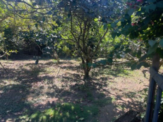 Venta de lote en Guayabos de Curridabat in Curridabat, San José — $180,000