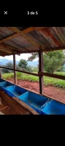 DE OPORTUNIDAD BELLA Y ÚTIL FINCA EN ACOSTA, SAN JOSÉ.  en Palmichal, Acosta, San José — ₡ 2 500 000