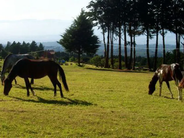 QUINTAS EN VENTA EN POAS ALAJUELA en San José, Alajuela — $70,000