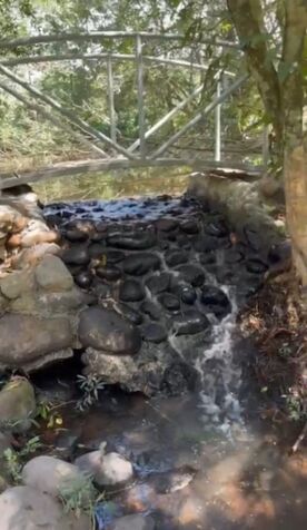SE VENDE ESPECTACULAR PROPIEDAD EN VALLE AZUL DE SAN RAMÓN.  in Peñas Blancas, San Ramón, Alajuela — ₡ 215 000 000