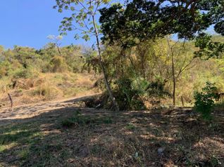 465,768m2 (116m2) con permisos para urbanizar en Atenas, Alajuela — $1,200,000 - Foto 4 de 9