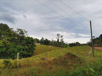 Vendo Hermosa Finca en Los Almendros en Cutris, San Carlos, Alajuela — 157 000 000 ₡ - Foto 4 de 12