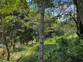  Lote con mucho potencial, uso de suelo Residencial y agricola EN VENTA RAH/OFI  in Atenas, Alajuela — $68,000