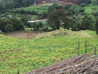 Venta de terreno..para quinta y agricultura in Santiago, Paraíso, Cartago — 95 000 000 ₡ - Photo 5 of 18