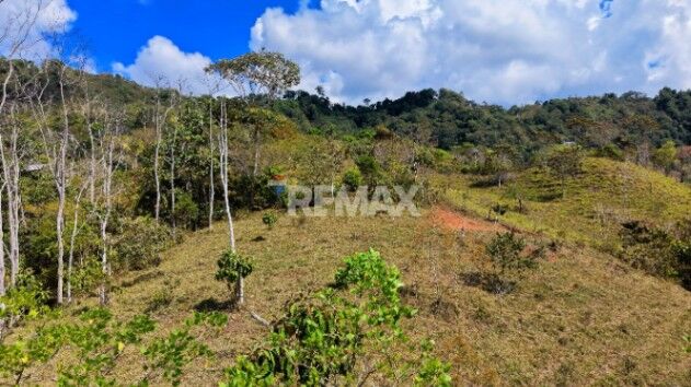 SE VENDE FINCA DE 2.8 HA EN SAN LUIS DE MORETE | VISTA A LA MONTAÑA Y CERCA DEL MAR in San Isidro De El General, Pérez Zeledón, San José — $190,000