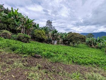 VENTA DE HERMOSA QUINTA EN aAENJAL, PARAISO DE CARTAGO en Santiago, Paraíso, Cartago — 65 000 000 ₡ - Foto 4 de 27